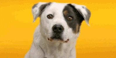 推出让人难以抵抗的限定联名,大牌联名款值不值得买