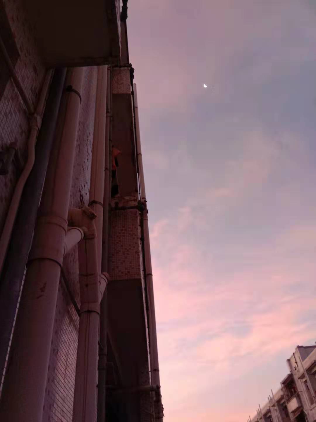 灏忓皬楦熷皬璇寸鍏珷,灏忓皬楦熺鍏珷鍏ㄦ枃闃呰