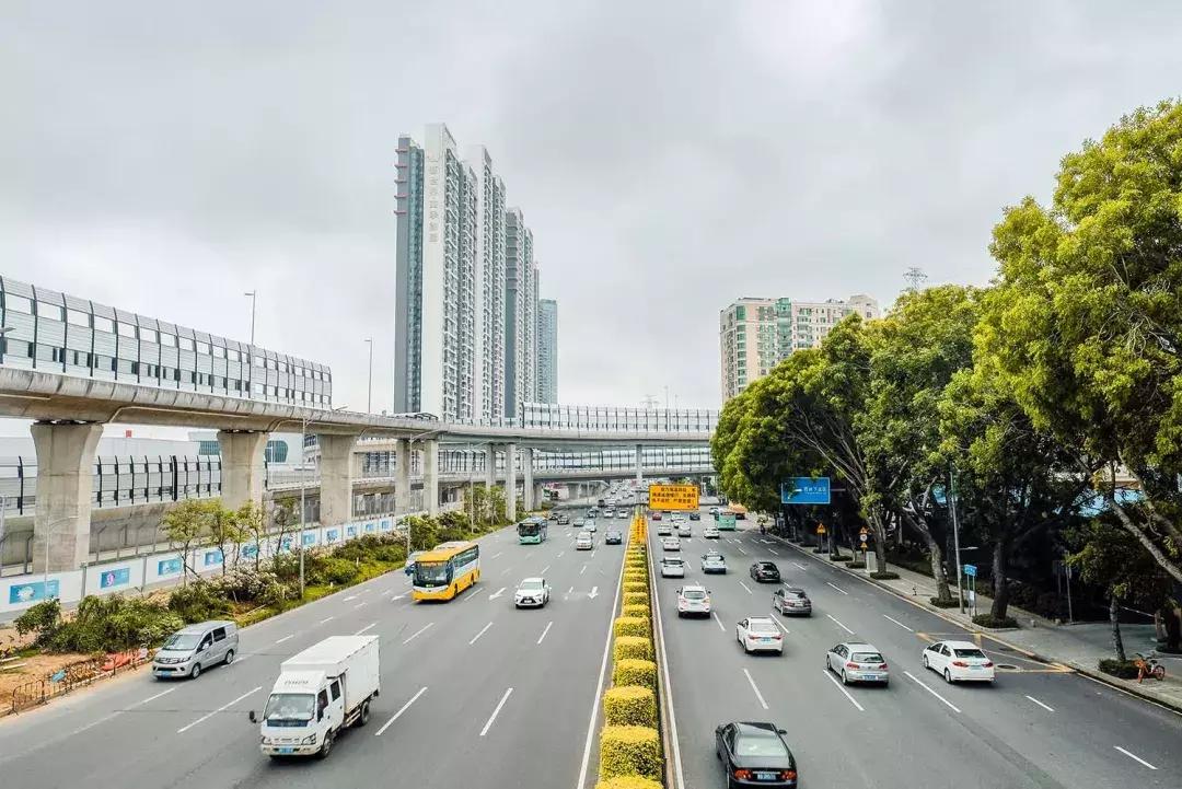 附近莲塘,附近的莲塘