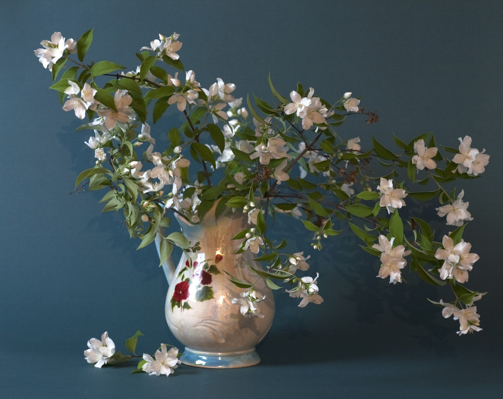 香精油什么味最好闻,公认好闻的单方精油适合熏家里