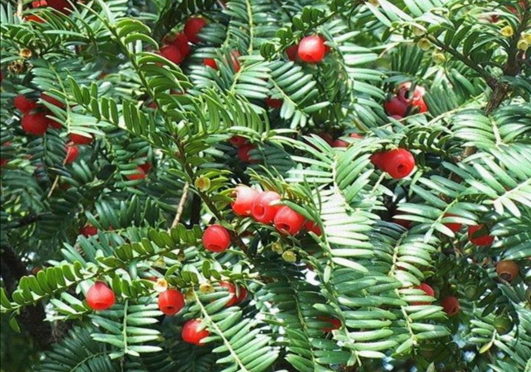 金山银山不如靠自己打下的江山,金山银山不如找个靠山