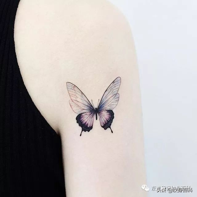 蝴蝶纹身图案代表什么,代表自由的蝴蝶纹身