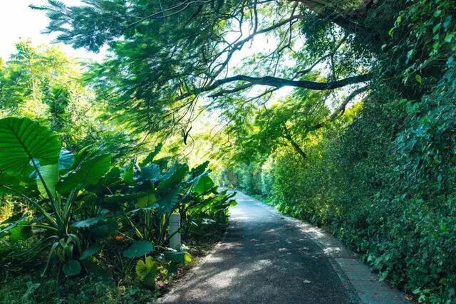 湖泊风景区推荐,深圳十大免费主题公园