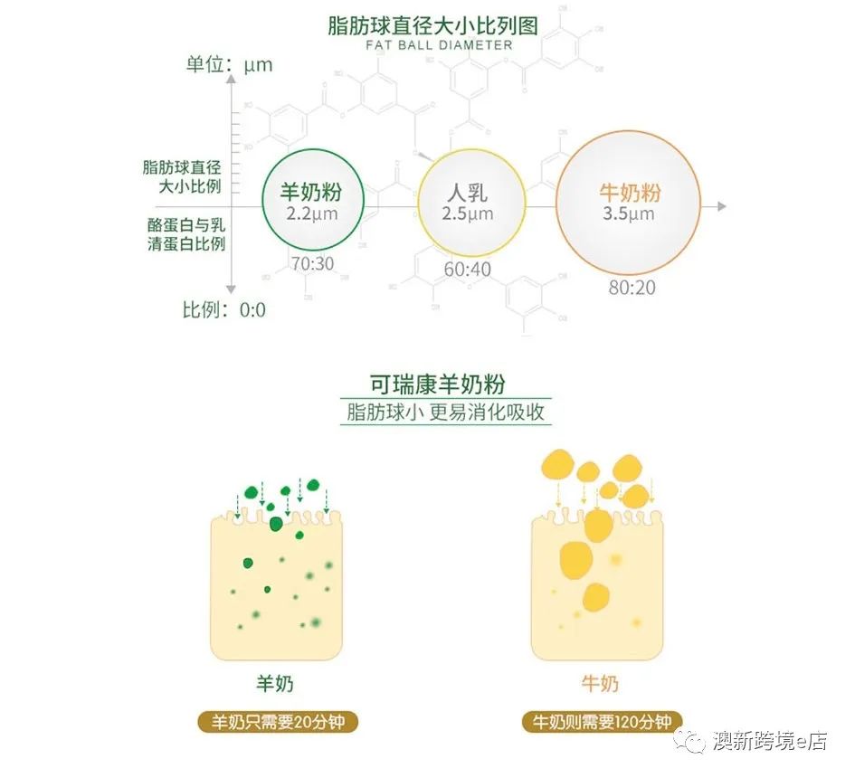澳新篇，各大品牌奶粉甄选宝典