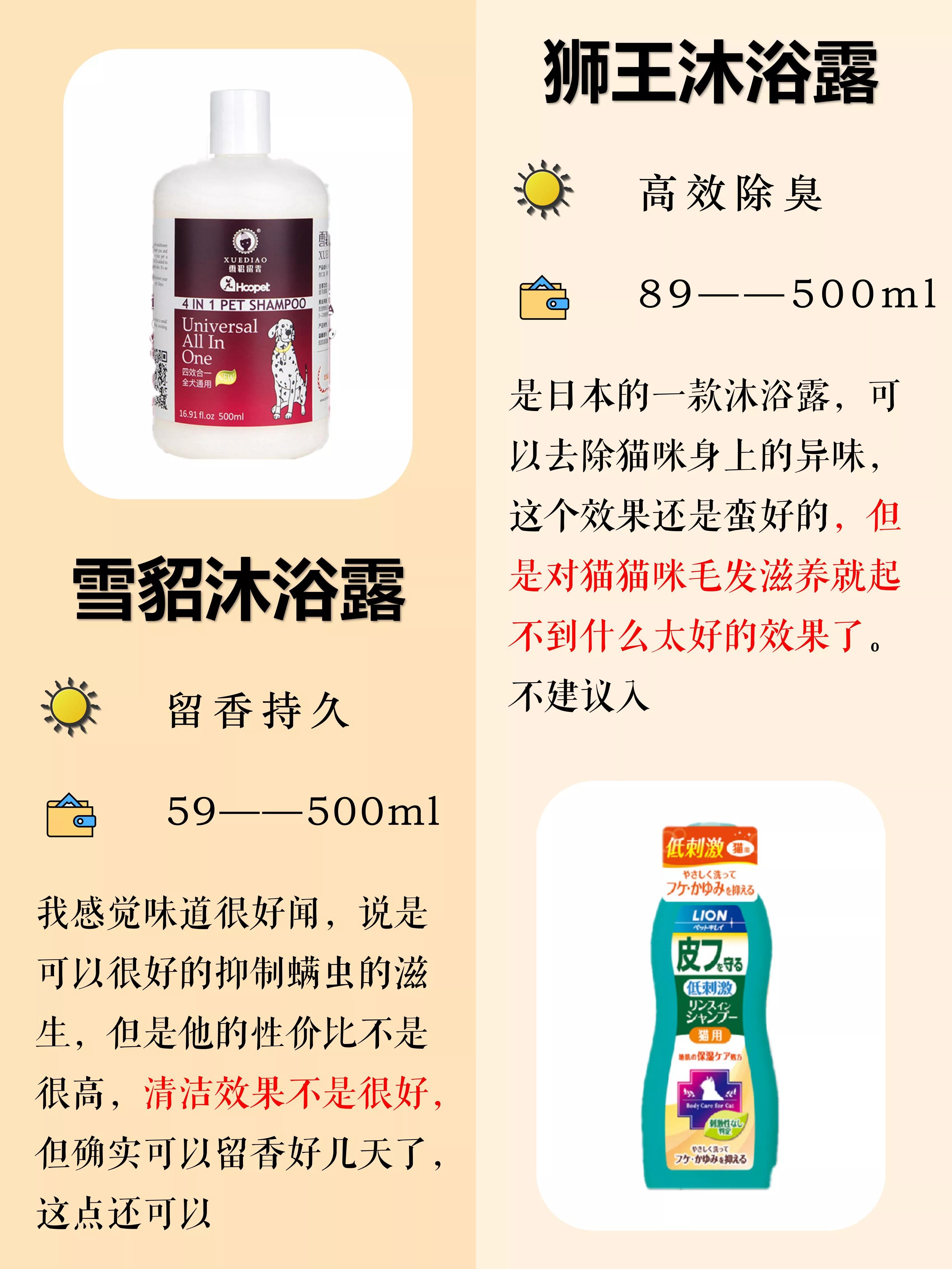 养猫新手给猫咪洗澡需要注意什么,猫咪洗澡攻略如何正确地给猫洗澡