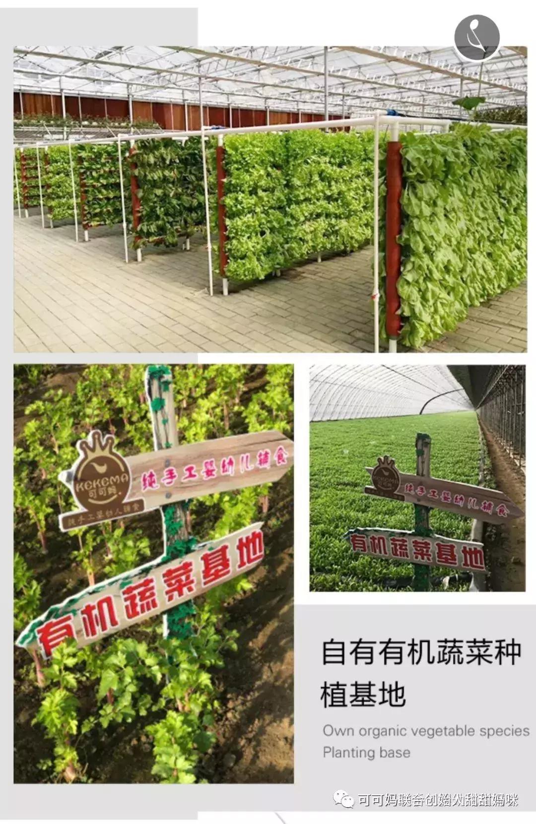 可可妈辅食创始人,可可妈纯手工辅食代理政策