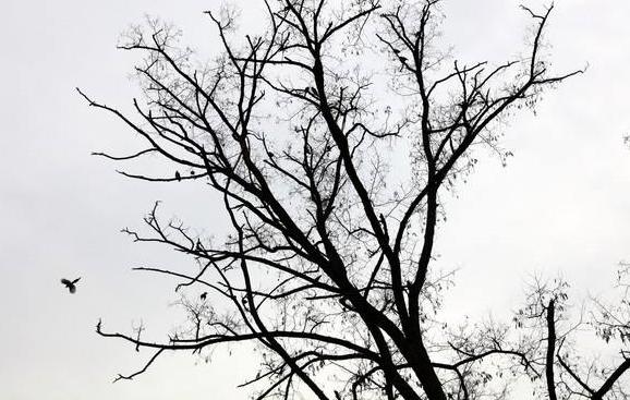 增广贤文生死有命富贵在天,增广贤文参透人生百态