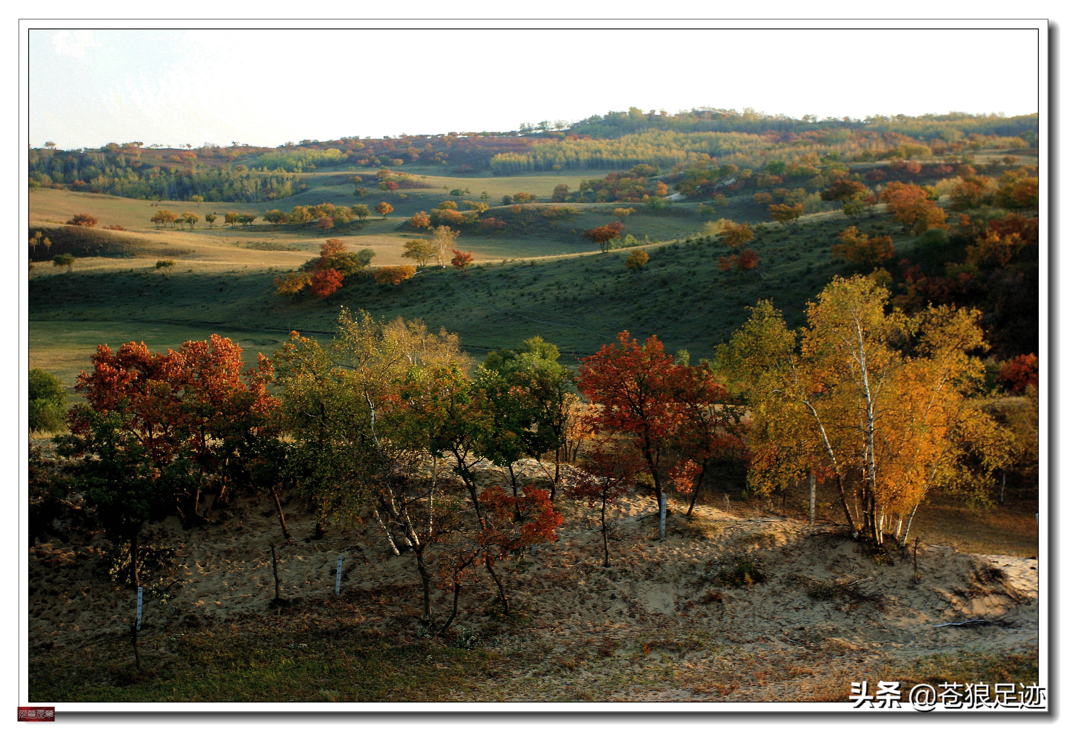 野阔牛羊同雁鹜——雄浑壮阔的贡格尔草原