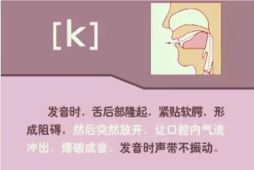 张中军音标发音48个教学视频合集,音标发音48个正确发音讲解视频
