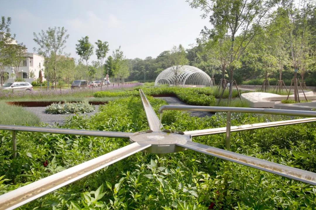 阿那亚北岸设计动图,阿那亚北岸设计