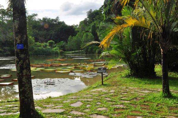 园林绿化工程预算教程,园林绿化设计费用比例