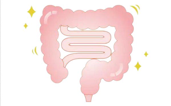 嗜酸乳杆菌，你认识它吗？