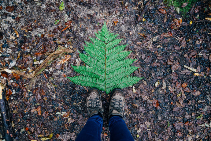 新西兰｜在首屈一指的滑雪胜地，与黑天鹅一起戏水
