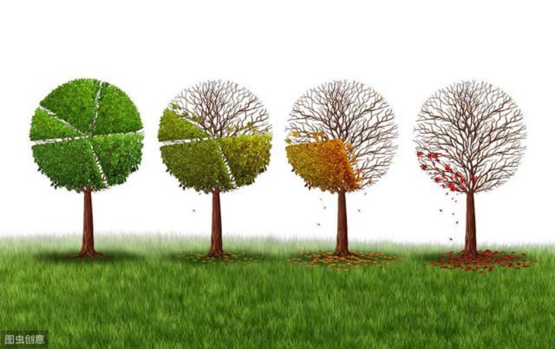 广州新人创业做什么好,新人入公司技巧