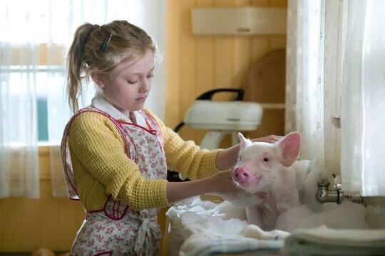 夏洛特的网钢琴简谱,夏洛特的网钢琴