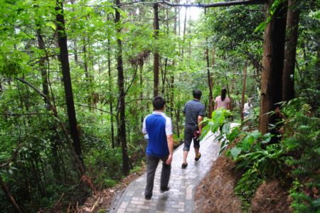 宁波北仑有几个岛,北仑十大山