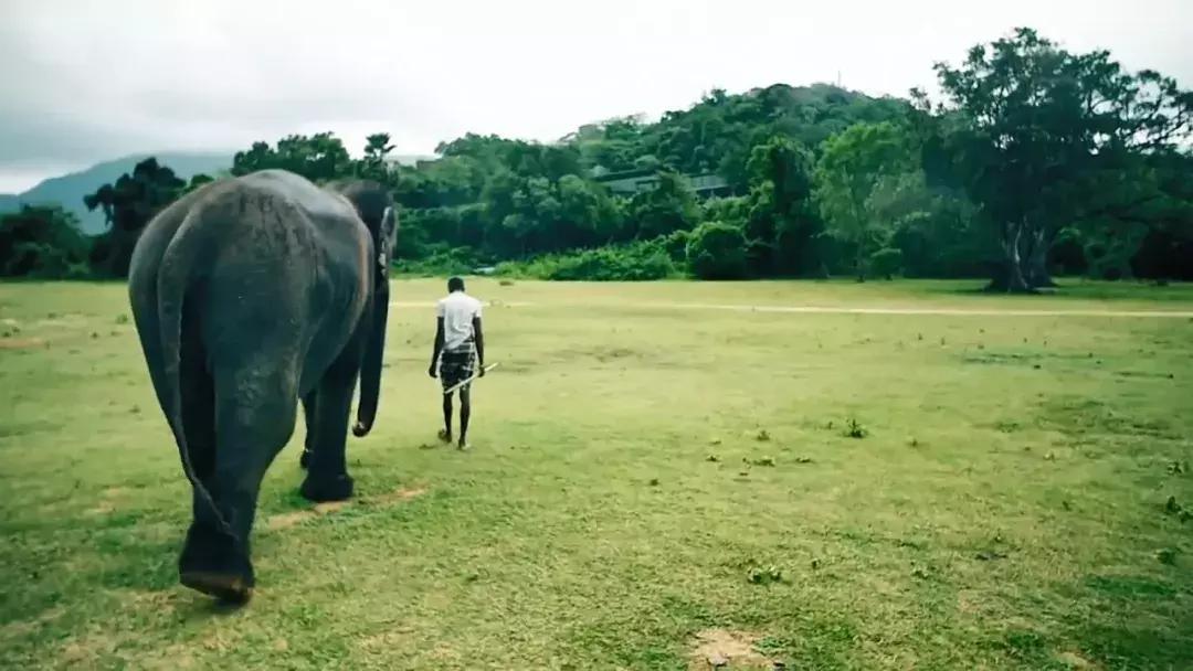 斯里兰卡的风景,风景优美而且物价便宜