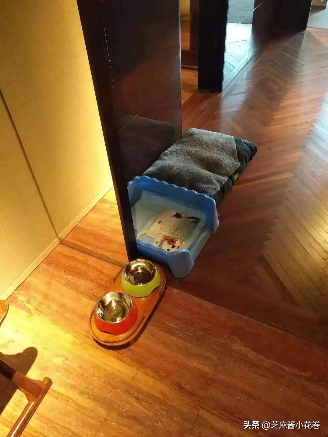 凡尔赛文学其实无处不在,凡尔赛文化盛行