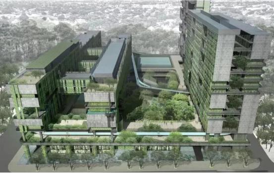 为什么考深国交,深国交与四大哪个难考