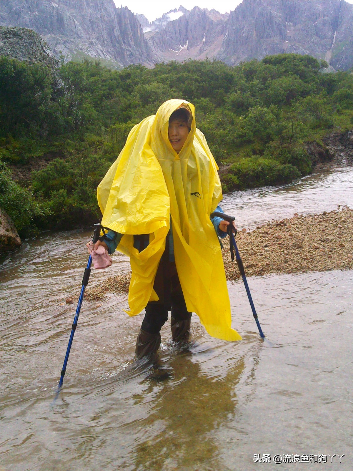 年保玉则现在开放了吗,年保玉则为啥被封