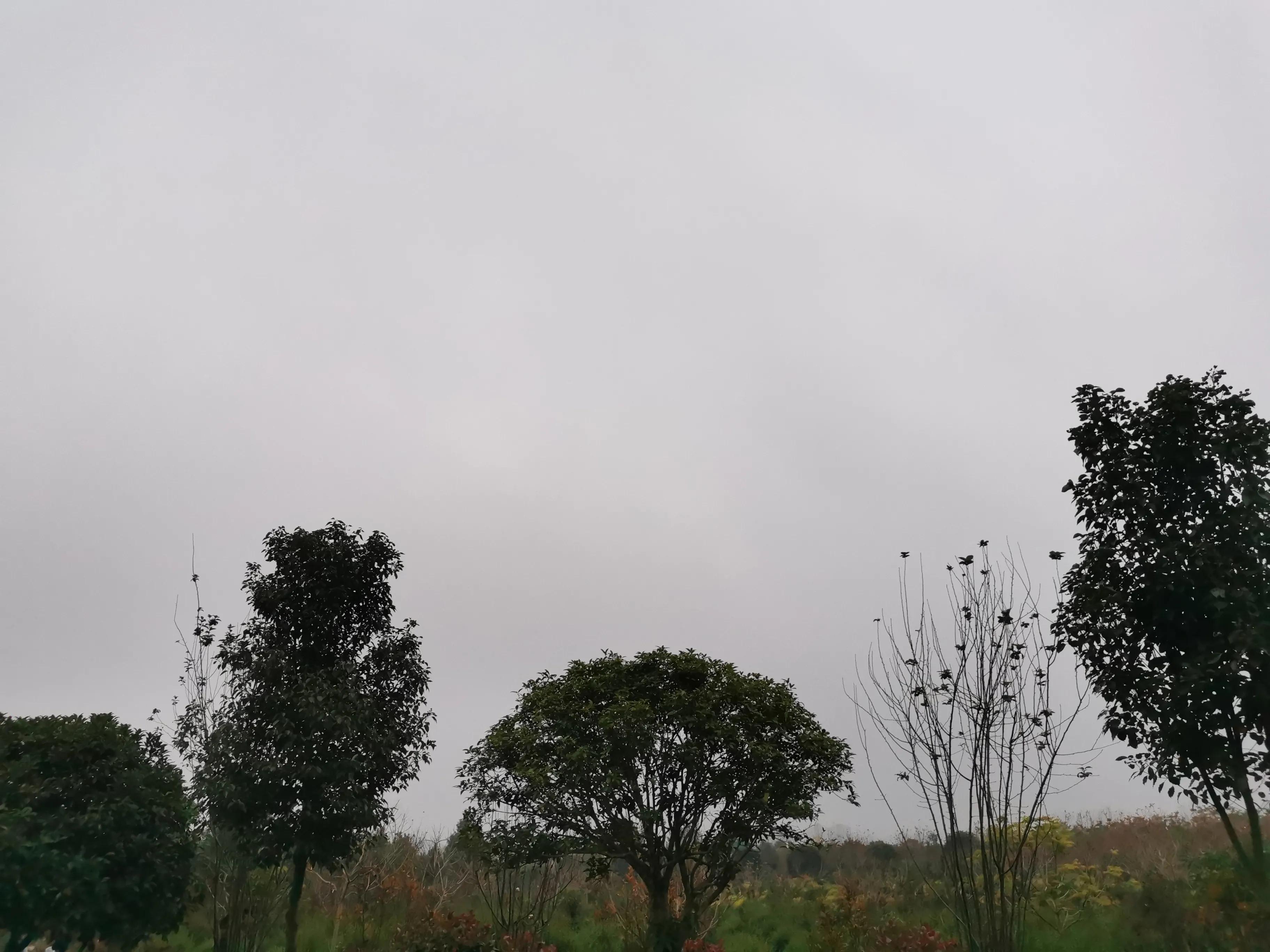 吹在旷野的风图片,吹旷野的风下一句