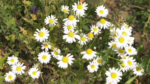 抛开一切烦恼重新开始振作起来,抛开一切烦恼重新再来