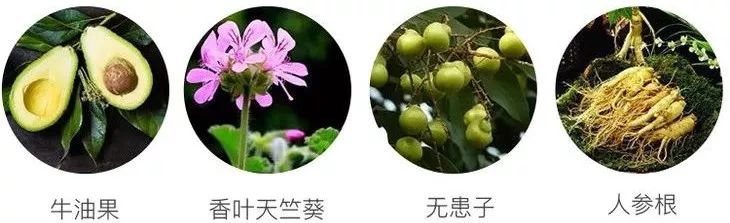 2021年平价去屑洗发水推荐测评,好的洗发水去屑顺滑蓬松控油止痒