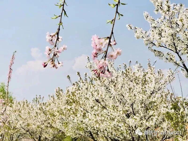常州周末适合去哪里踏青,清明农庄亲子游攻略