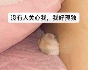 来自外卖小哥的霸道段子,关于外卖小哥的挺火的段子