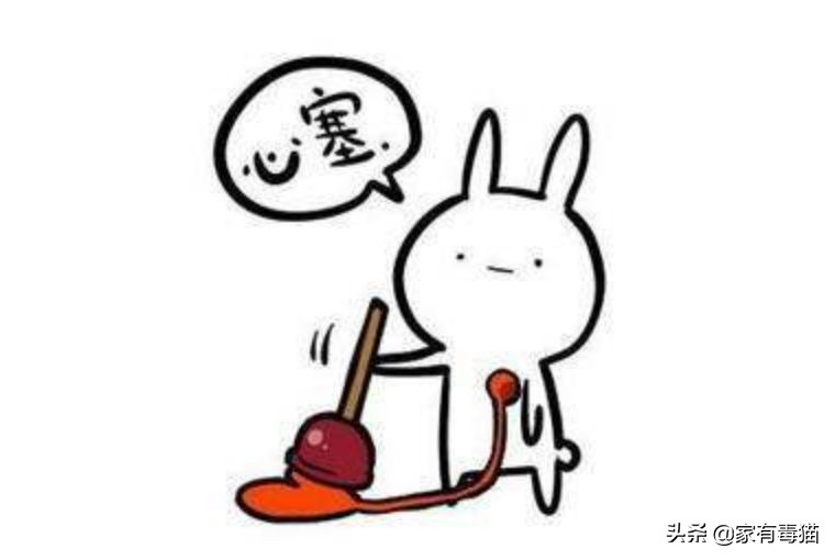 猫粮为何叫毒粮,猫粮和米饭哪个安全