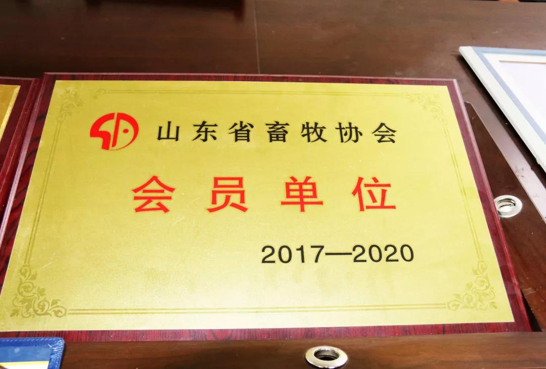 助力村民养鸡致富,山东裕生禽业有限公司