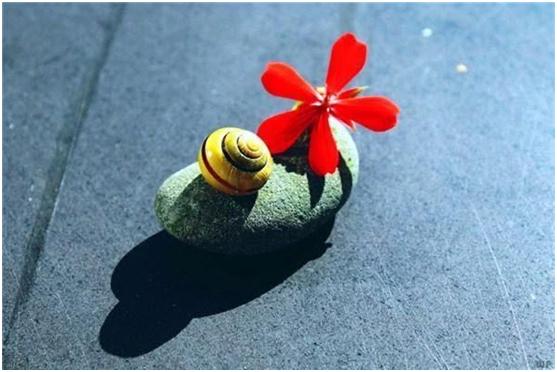 想知道你们是怎么追求对象的,想知道你们是怎么谈恋爱的