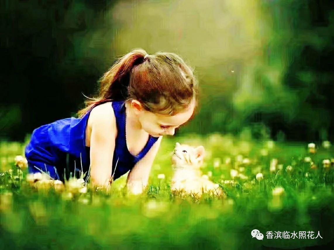 创新作文大赛第十四届获奖名单,2016创意作文大赛