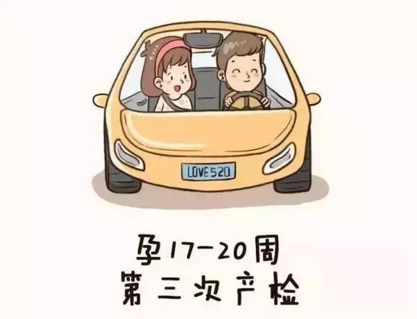 孕妇产检全流程手绘图,产科医生画图