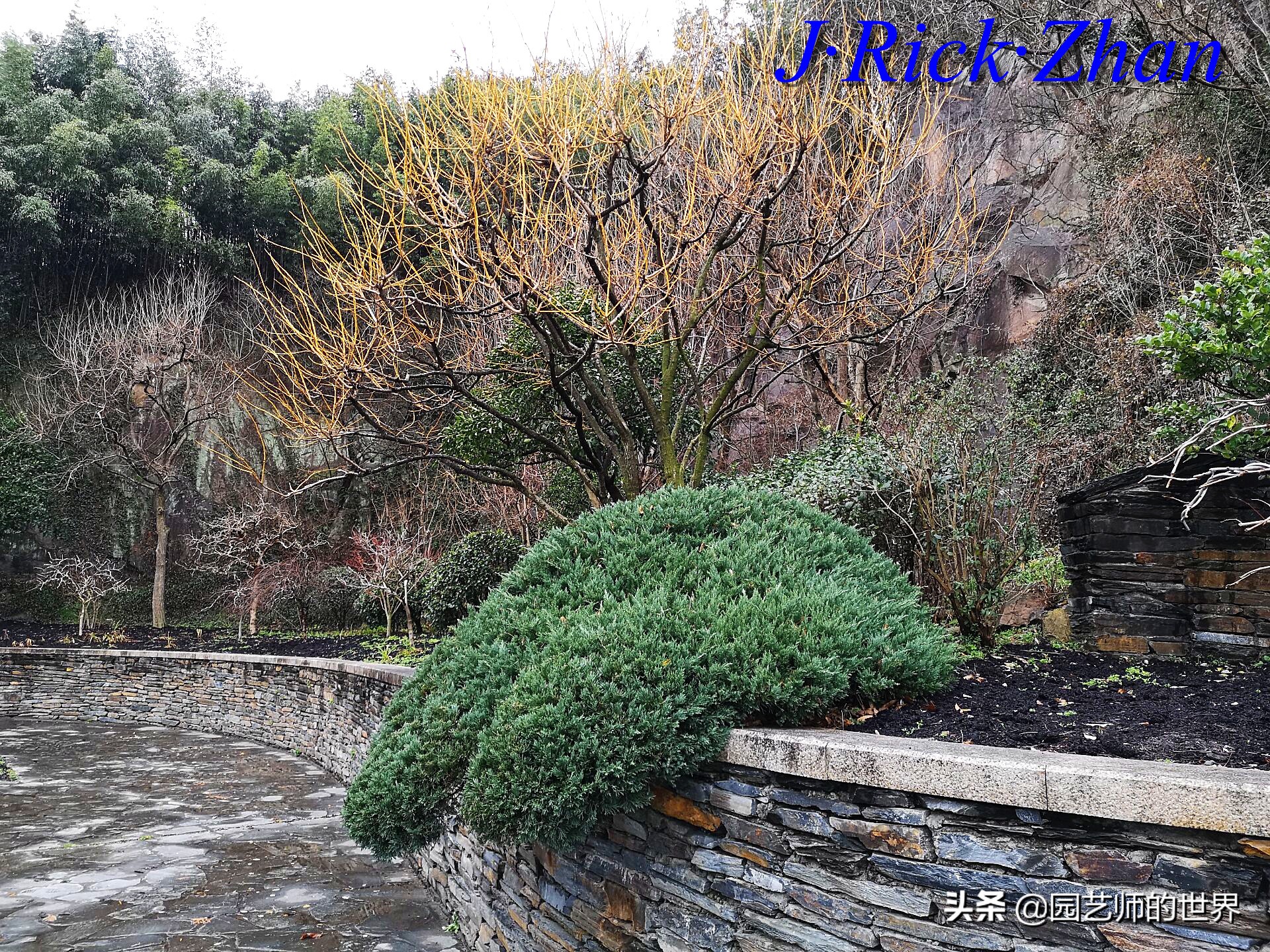 园艺研学报告,园艺园林研学