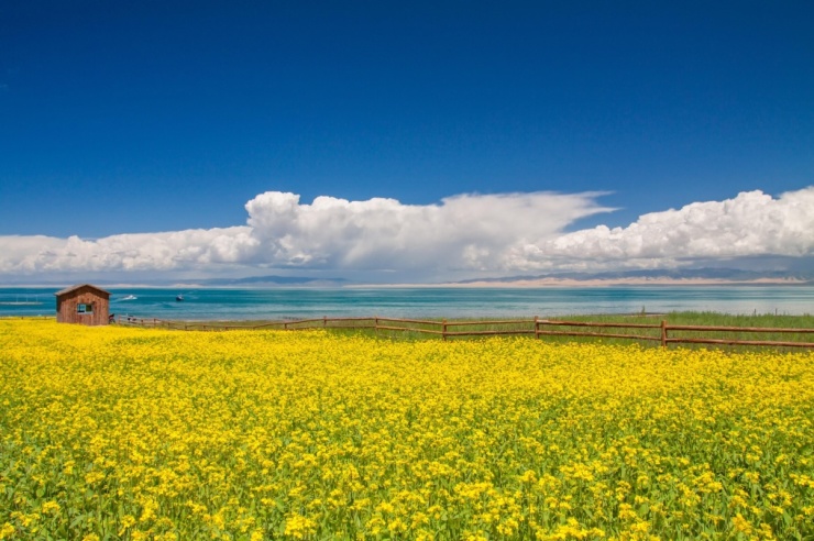 驴妈妈11周年庆大促上线1元抢1111元券，端午出游最高减1000元