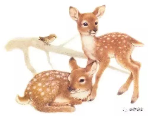 鹿王的真实感受,一代鹿王的传奇