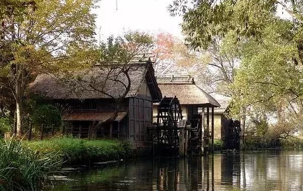 25亩荒地居然年游客竟然超过100万