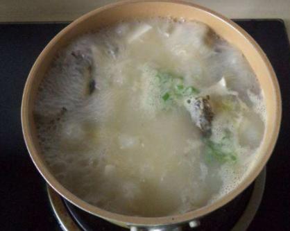 豆腐鱼汤怎么做好喝又营养,豆腐鱼汤怎么做好喝又清淡