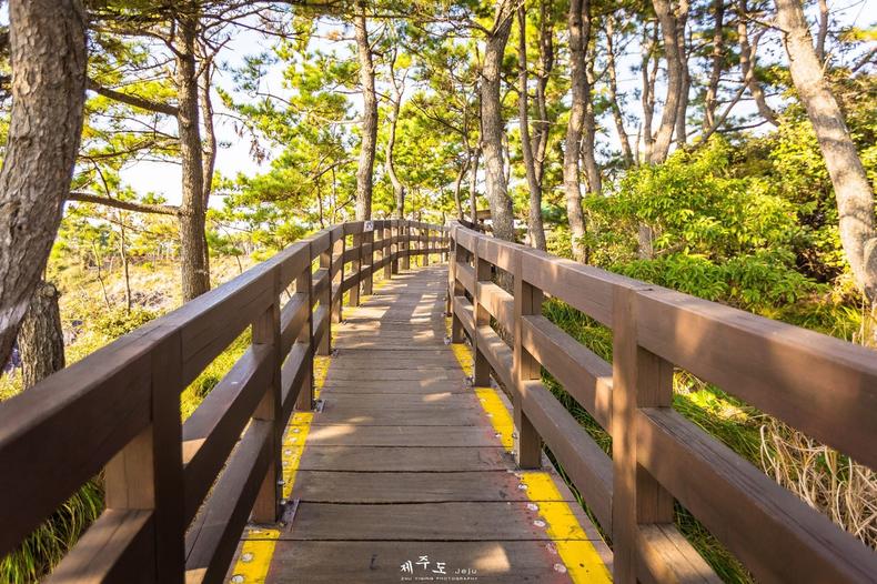 济州岛四天三夜旅行攻略,3天2夜济州岛旅行