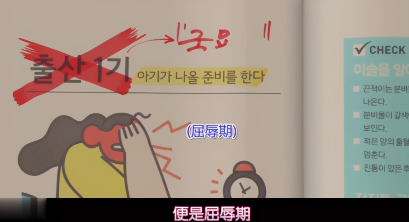 水果姐为什么被骂,卡迪碧孕照