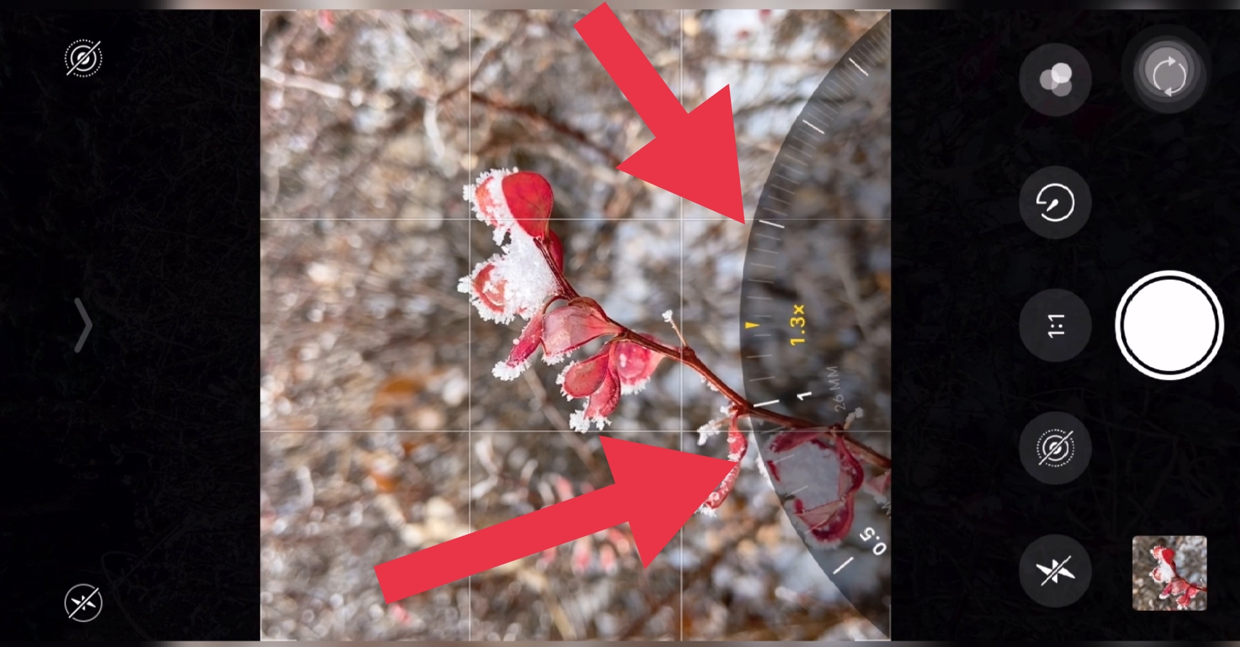 苹果手机拍照需要注意什么,一学就会的iphone手机摄影技巧