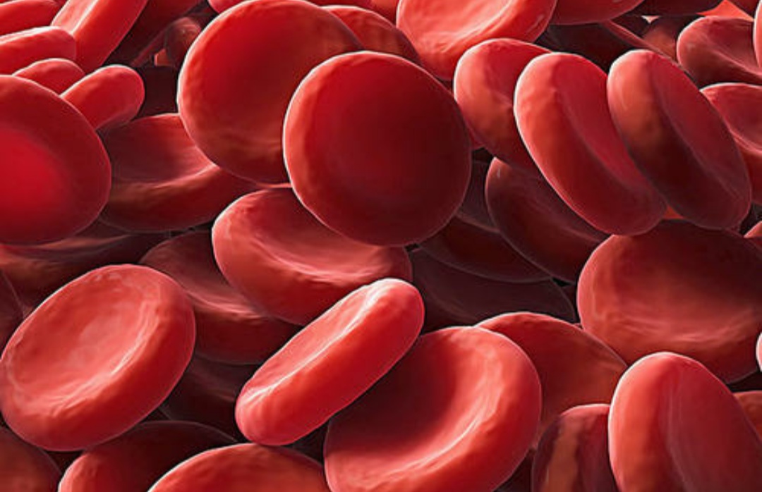 败血症重症症状,败血症引起的多器官衰竭