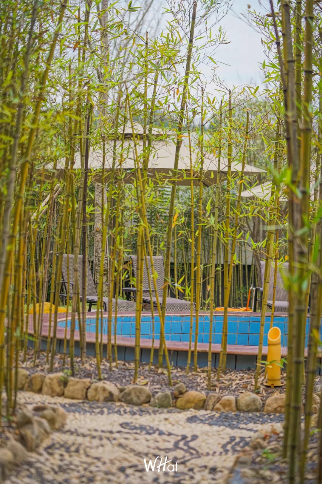 武汉周边泡温泉两日一夜,武汉泡温泉吃饭睡觉一体的温泉