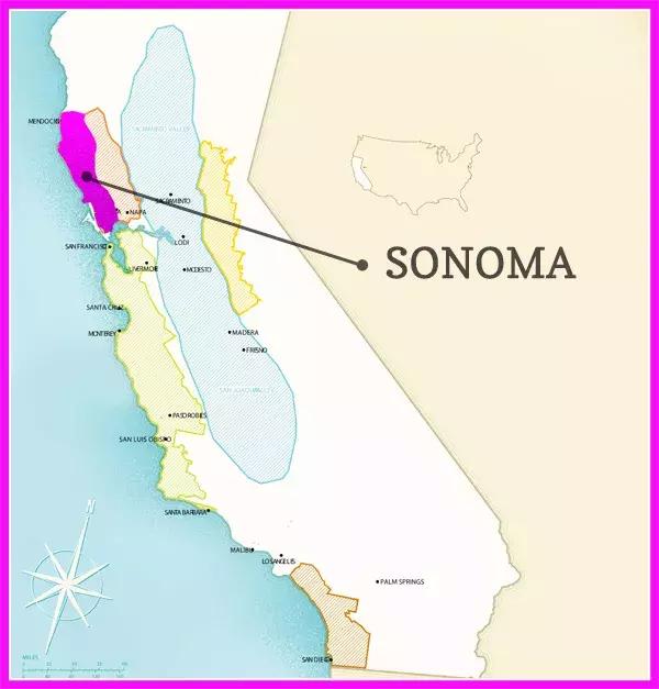 紫水晶葡萄品种,葡萄品种大全及英文