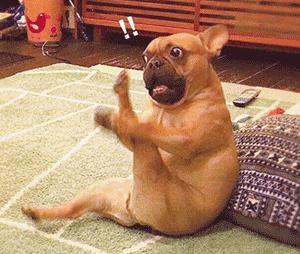 假鞋贩子隔空给黑人兄弟送补给,全球开启“地摊经济”模式