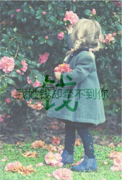 你缺过钱吗都是怎样挺过来的,缺一次钱你才知道没钱意味着什么