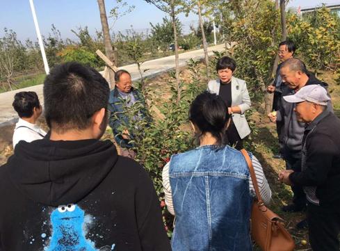 营口芮祥果蔬种植专业合作社：履行社会责任助力精准扶贫