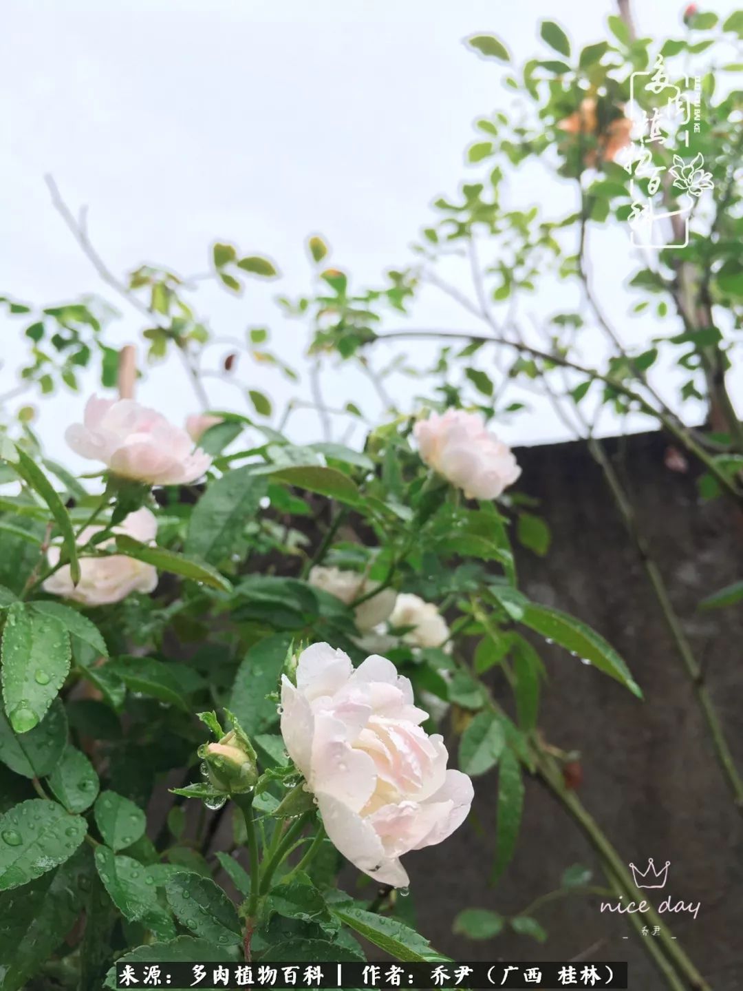 听到秋天的声音,听到了秋天的声音