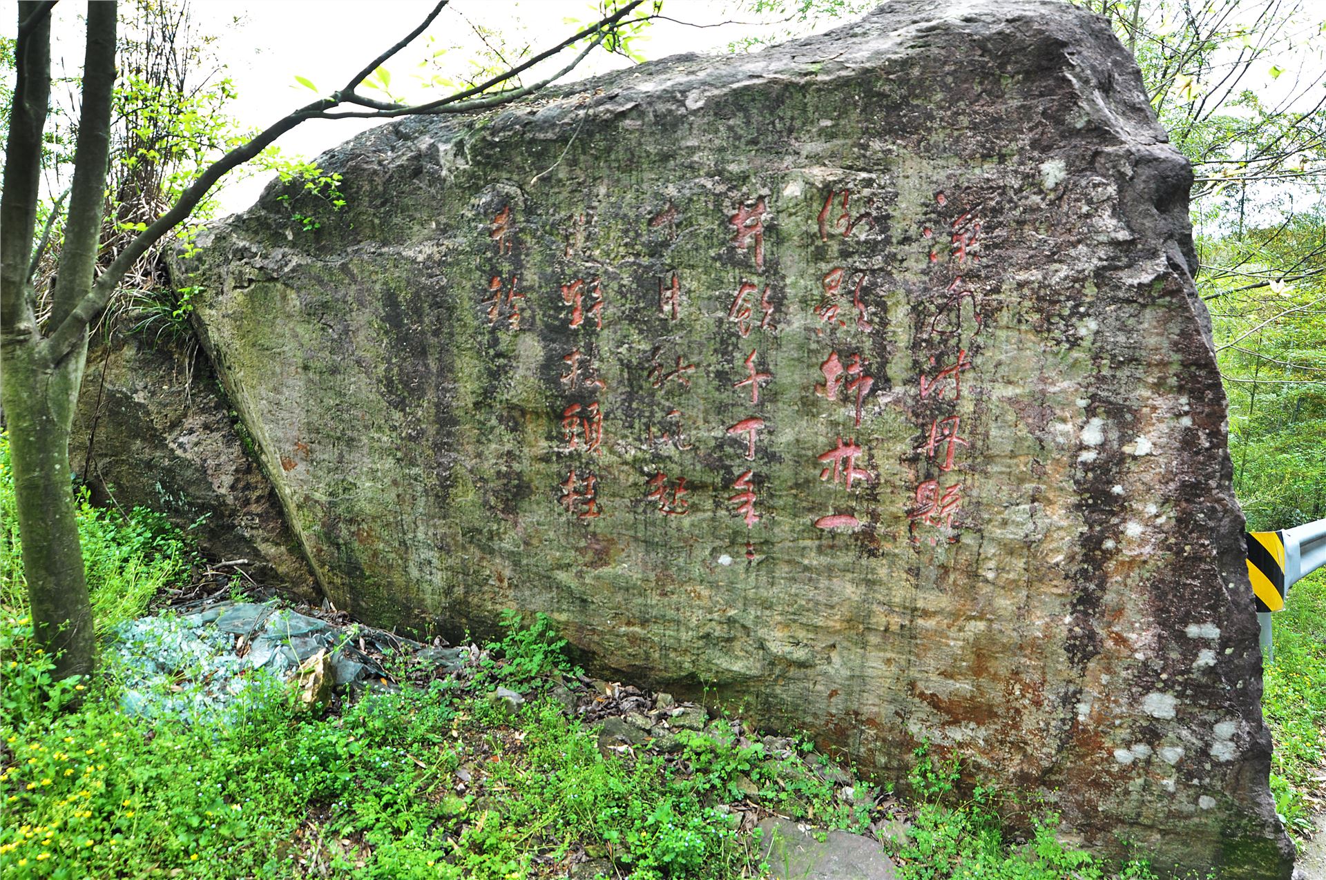 丹山赤水的老柿林景区,丹山赤水柿林古村